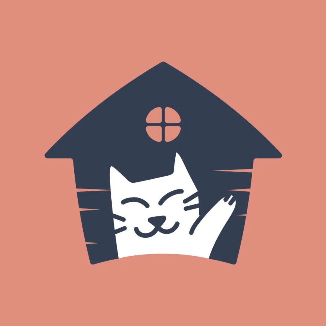 Cats Hotel & Shop