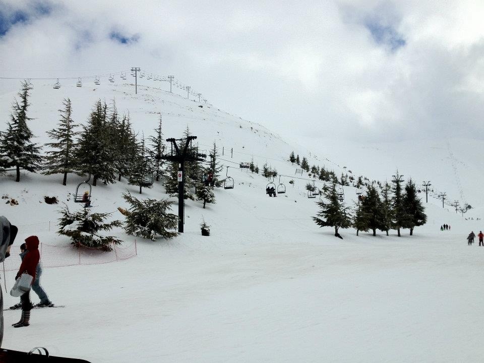 Faraya